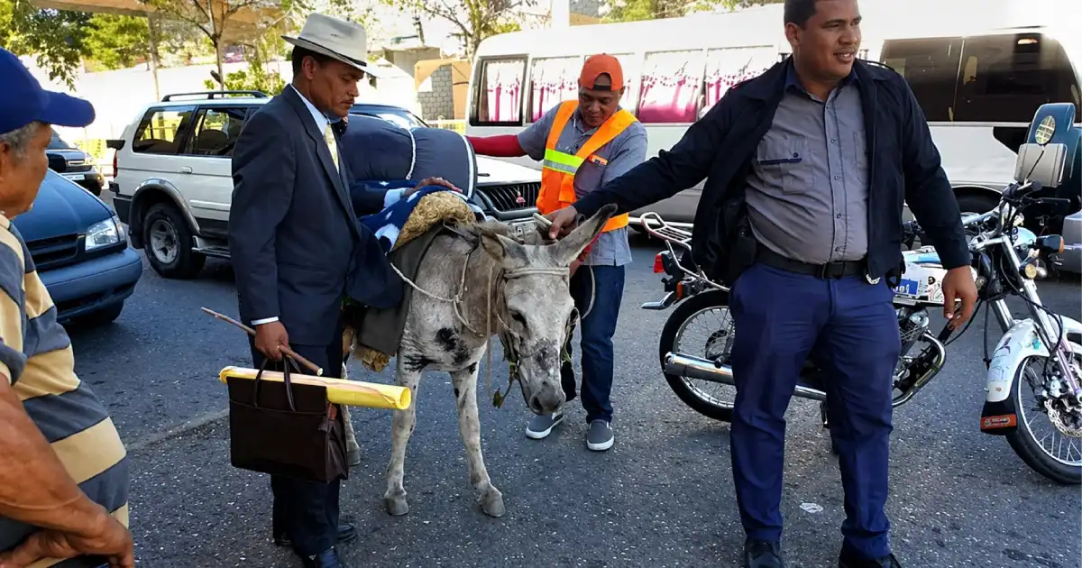 Incautan burros a campesinos iban con rumbo al Palacio Nacional
