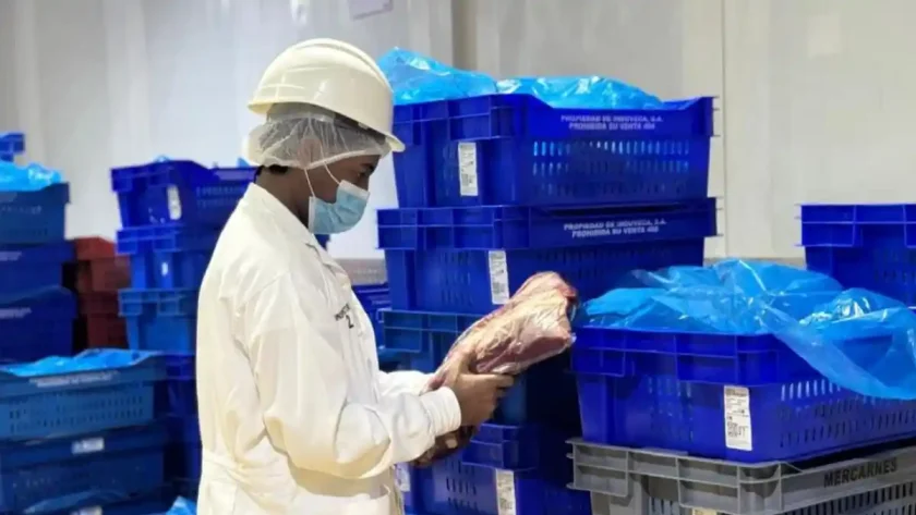 Exportación de carne dominicana a EE. UU.
