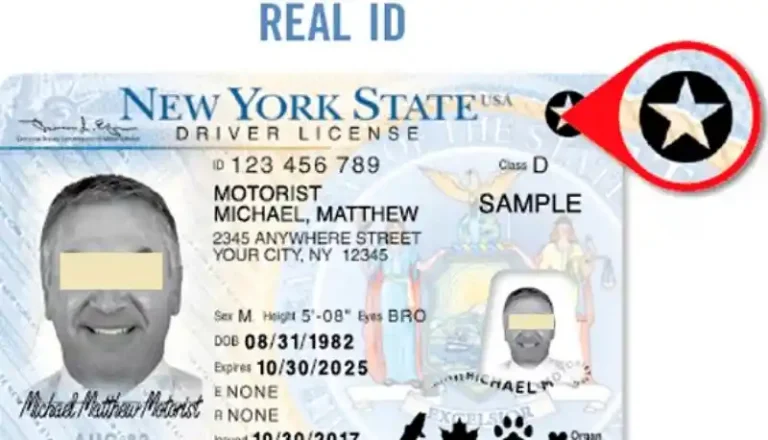 REAL ID entra en vigor en EE.UU.
