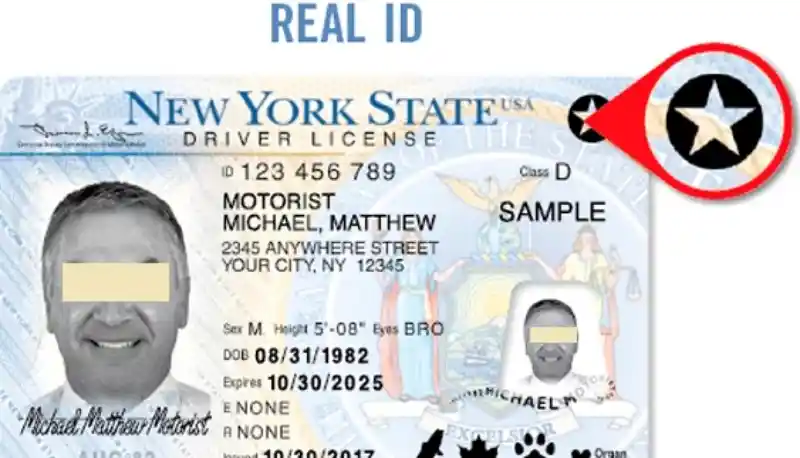 REAL ID entra en vigor en EE.UU.
