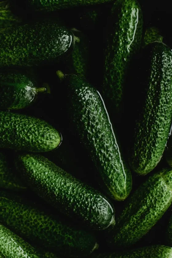 Retiran pepinos en EE. UU. por brote de salmonella