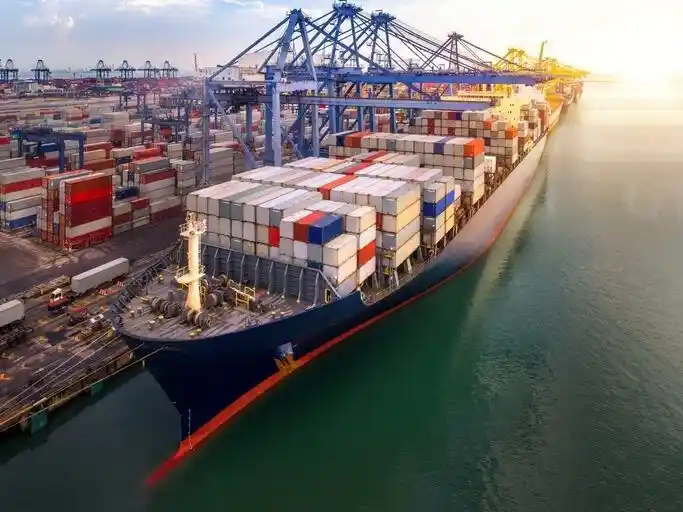 DGA lanza sistema digital para reforzar seguridad en envíos “mudanceras” o shipping