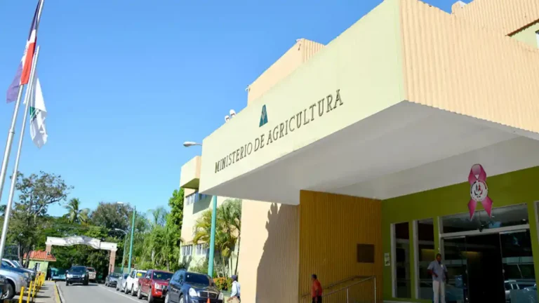 Tormenta Melissa deja pocos daños agrícolas en el sur del país