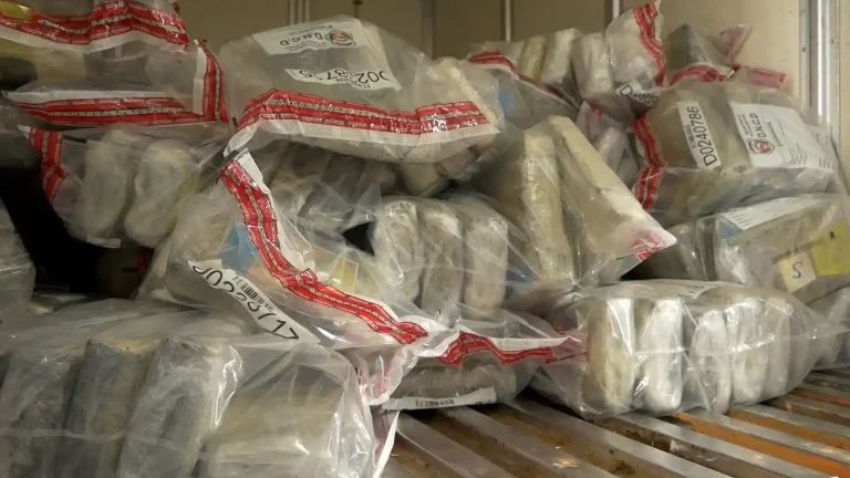 DNCD incauta 251 paquetes de cocaína en el Puerto de Haina Oriental