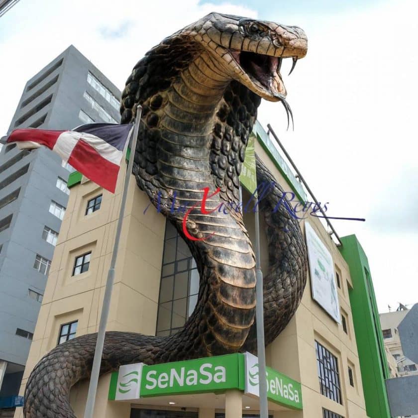 operacion cobra