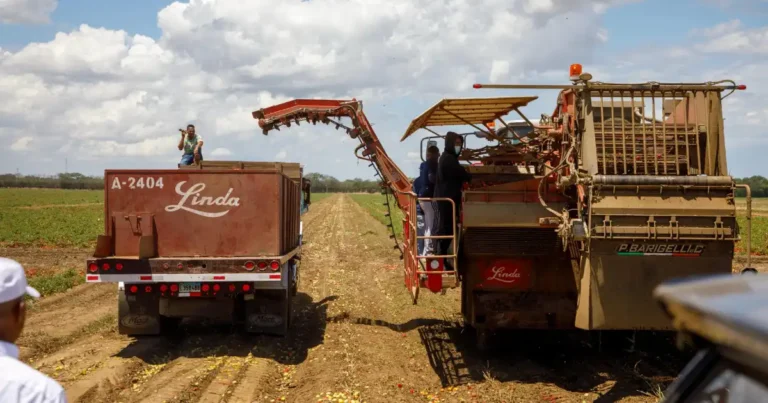 Productos Linda invierte RD$1,100 millones para mecanizar el campo dominicano