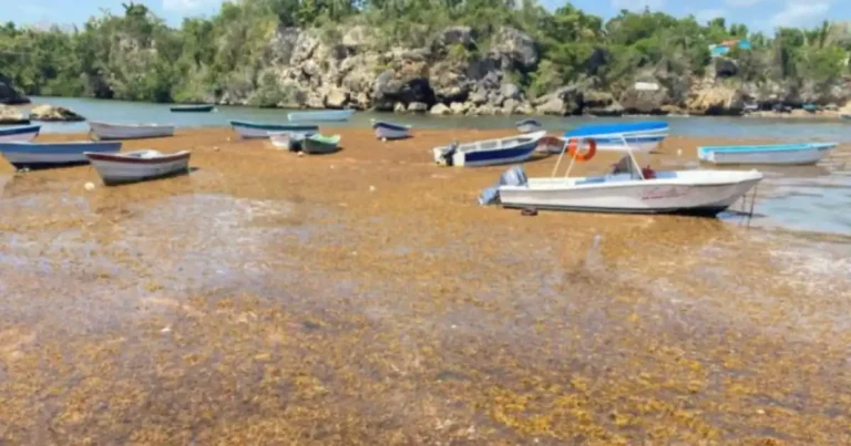 RD enfrenta 5 crisis ambientales en el Día de la Tierra 2026