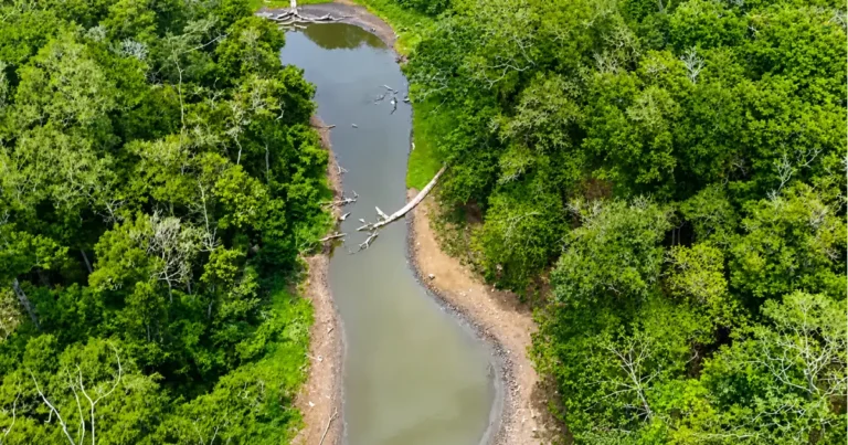 La laguna de Solimán, el tesoro oculto de Montecristi